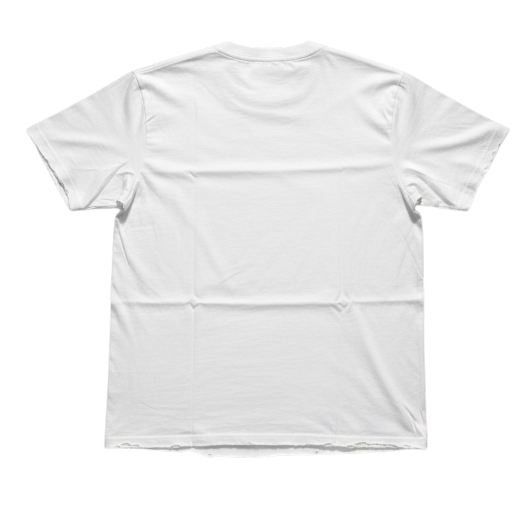 VradjatA mansion cropped T-shirt