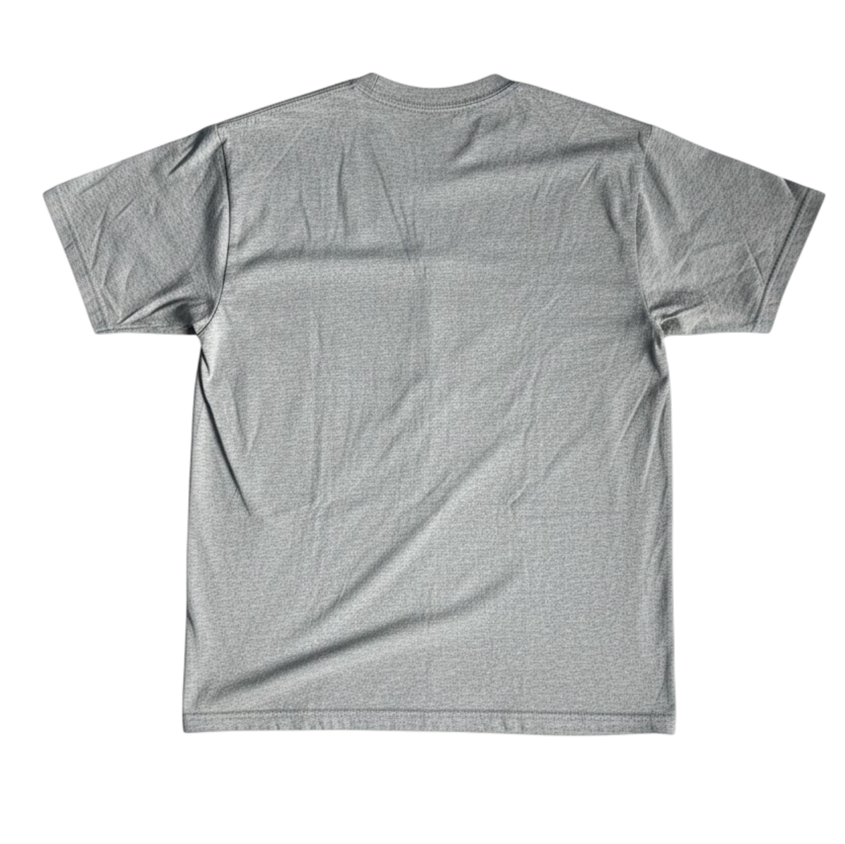 VradjatA mansion cropped T-shirt